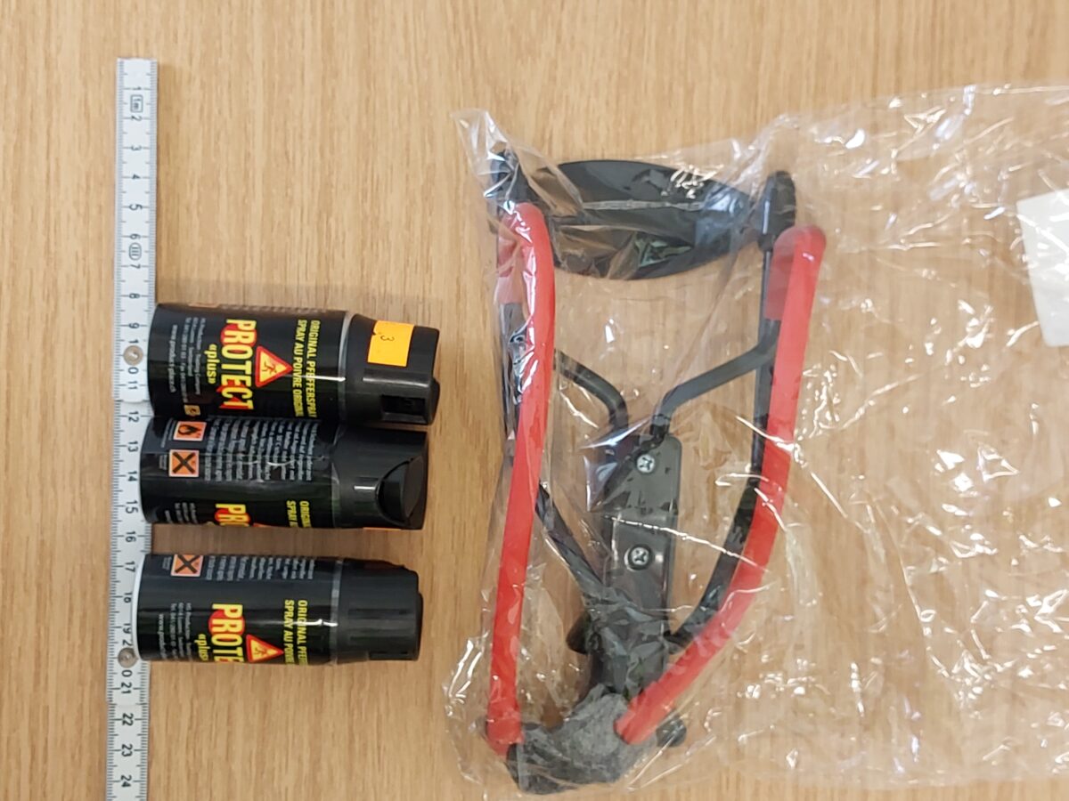 Erfolgreiche Waffensicherstellung durch Bundespolizei Waidhaus