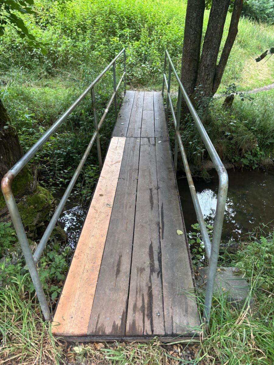 CSU Rehbühl will für den Rehmühlbach in Weiden "kämpfen"