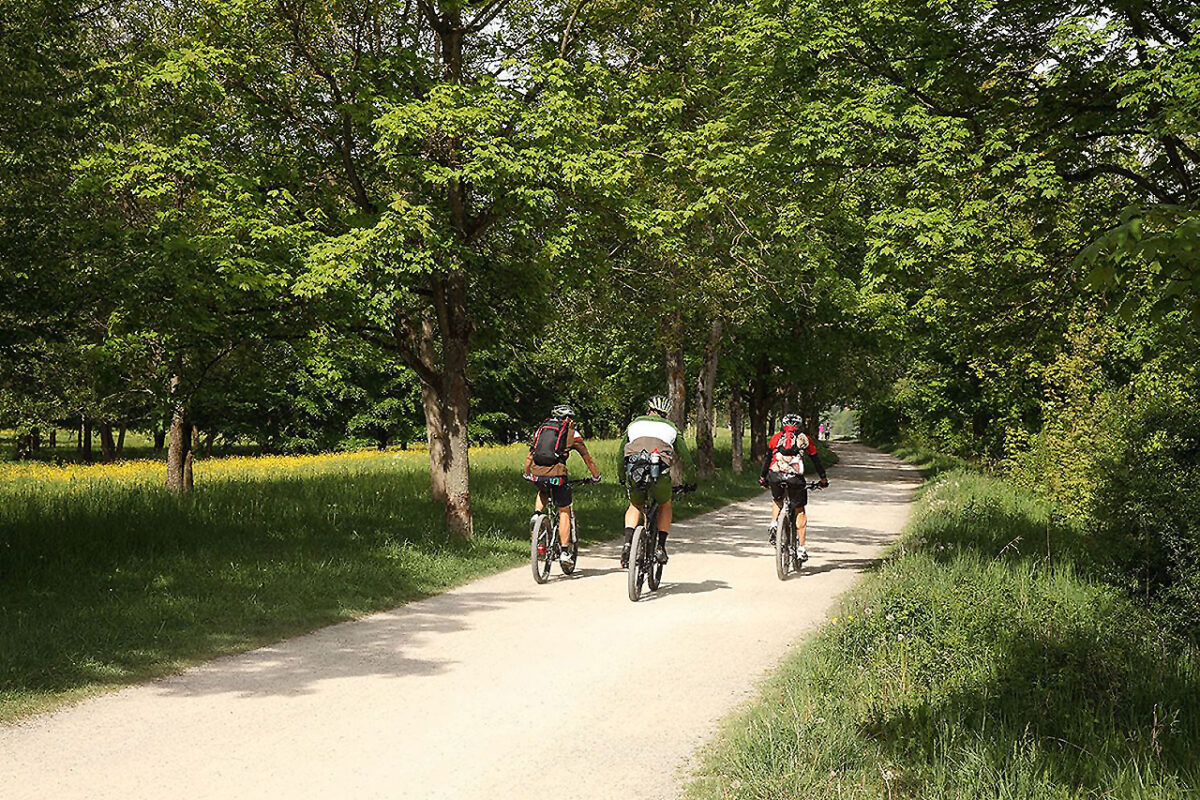 Genussradeln durch die Parks der Stadt (4): Regensburg im Grünen Takt