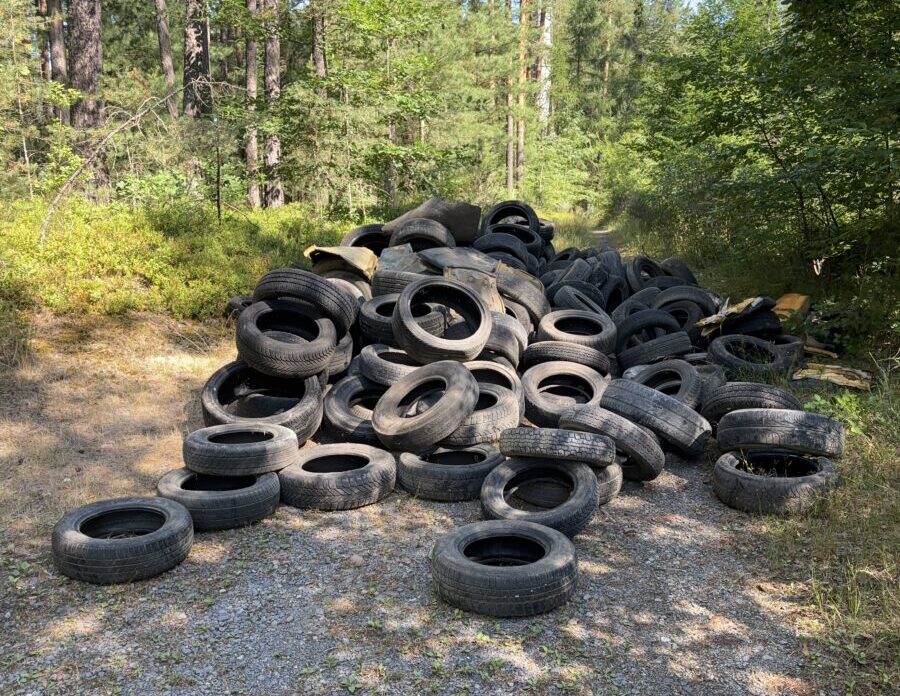 Illegale Reifenhalde im Wald bei Parkstein entdeckt