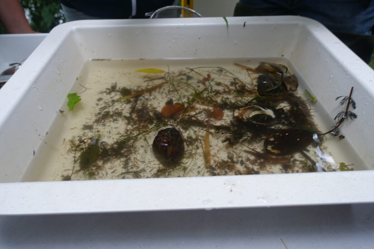 Nabburg gastiert erfolgreichen Aktionstag „Wasser“