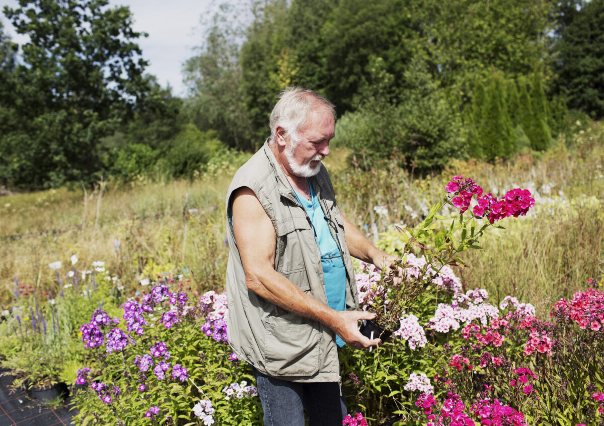Sommer im Steinwald: Bio-Erleben feiert 10-Jähriges