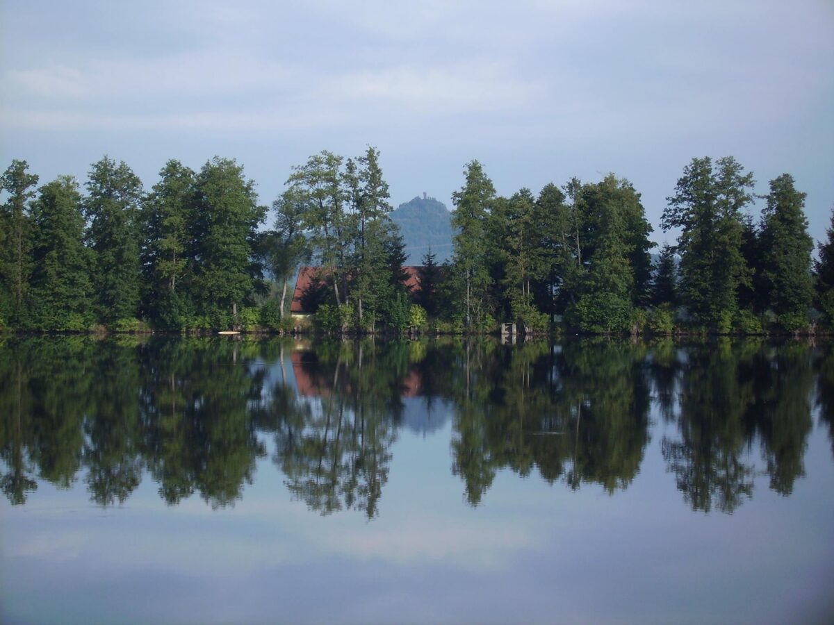 Prävention gegen Hochwasser: Trabitz erwägt Dammstabilisierung trotz hoher Kosten