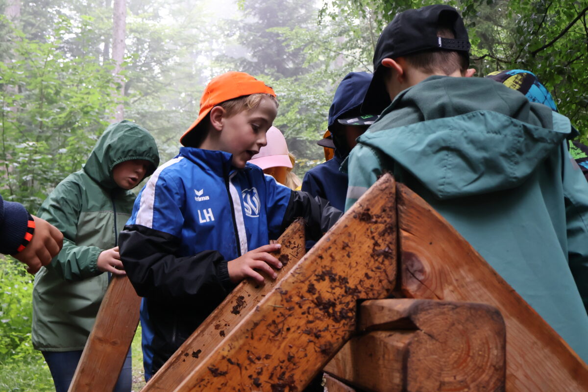 230 Kinder bei Waldjugendspielen in Pfaben