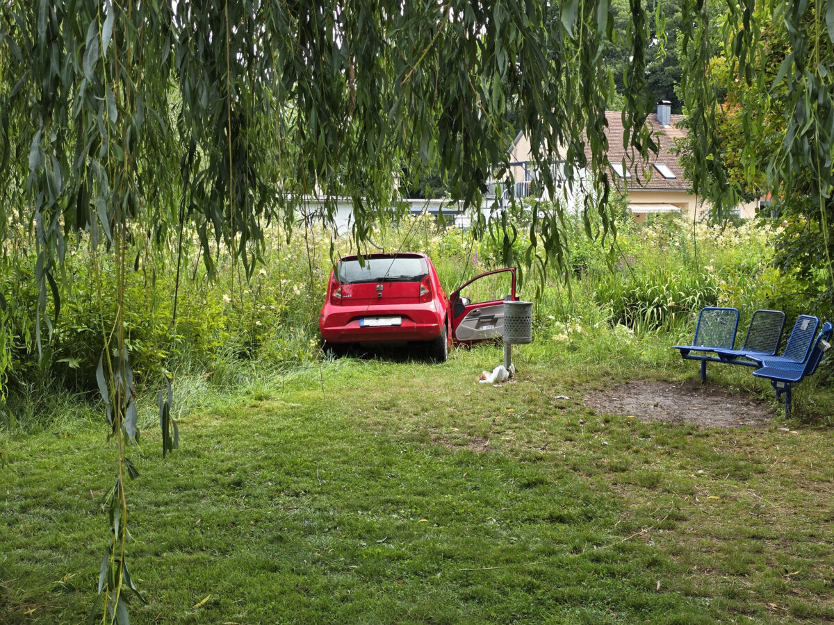 Auto landet nach Schwächeanfall im Weiher