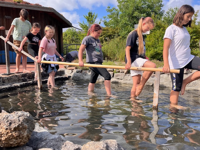 Kleine Forscher auf großer Tour:  Fünfte Klasse aus Erbendorf für fünf Tage im Wald