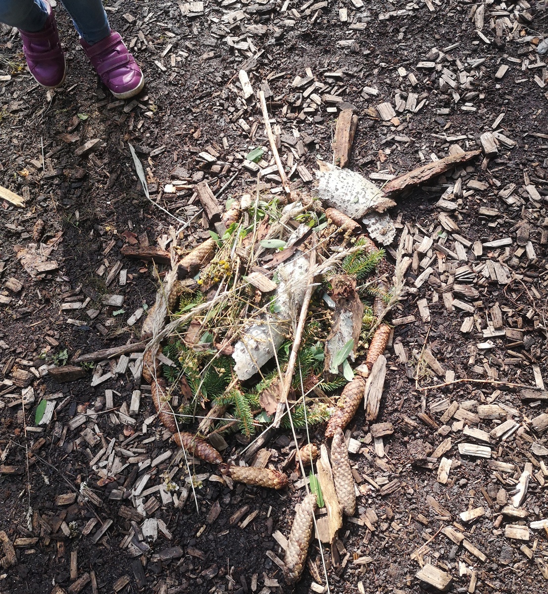 Waldpicknick der Krippe Eschenbach – Jahresabschluss in der Natur