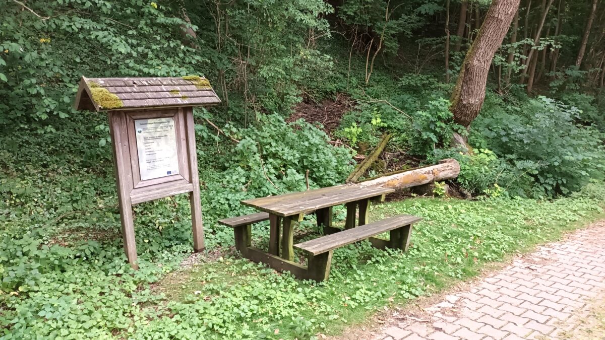 Zwölf „Kandidaten“ für den Bürgerhaushalt Pressath