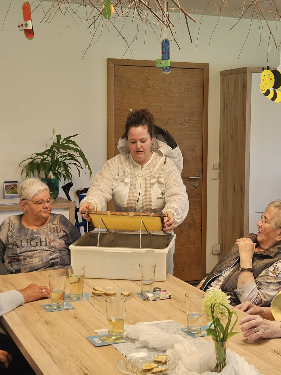 Bienenwelt am Waldthurner Badeweiher