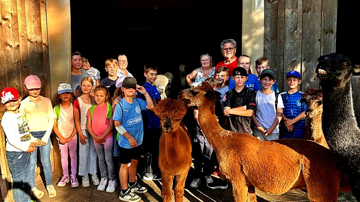 Alpakas Siedlergem. Schirmitz.jpg