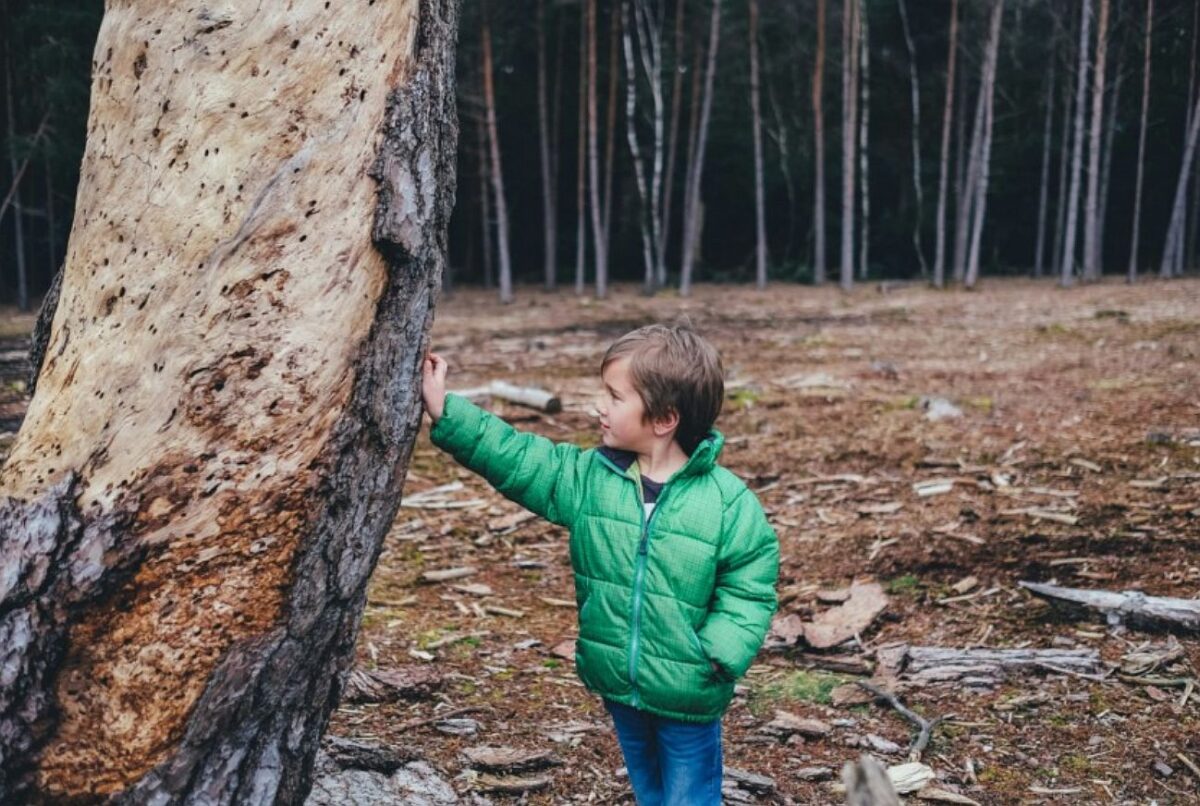 Familienausflugsziele in der Oberpfalz – Natur, Kultur und jede Menge Abenteuer