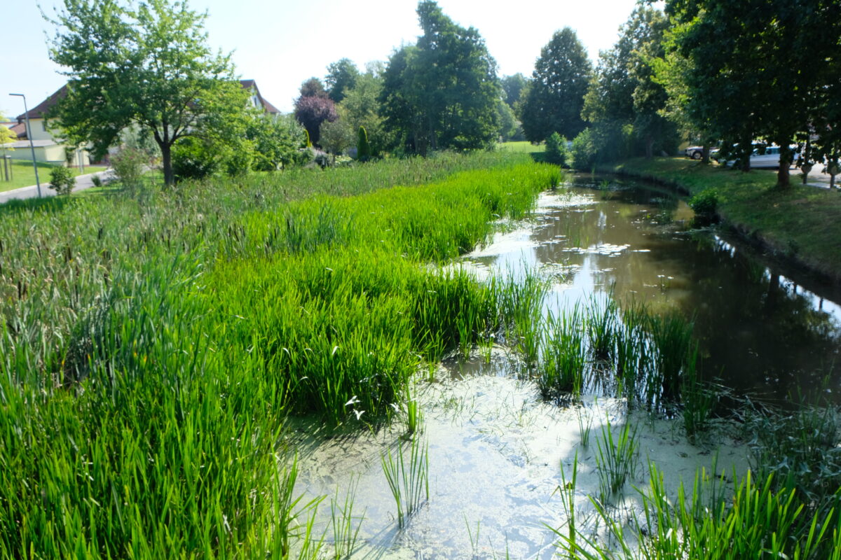 Creußen in Tremmersdorf: Hoffnung auf schnelle Revitalisierung