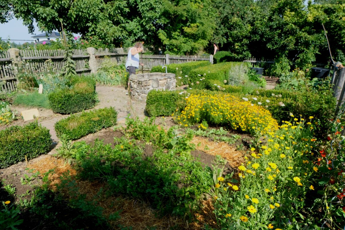 Gemüse- und Obstdiebstähle nehmen im Kreislehrgarten zu