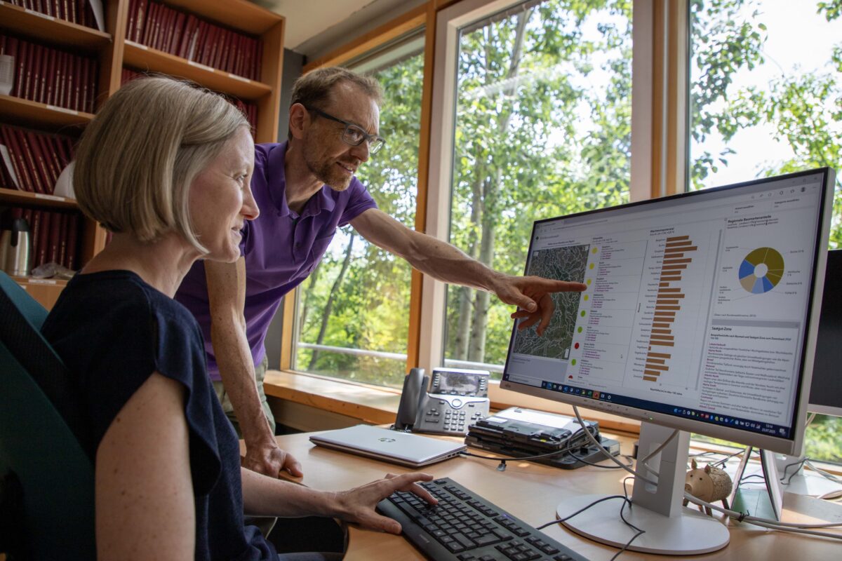 EVA bewertet Baumarten im Klimawandel