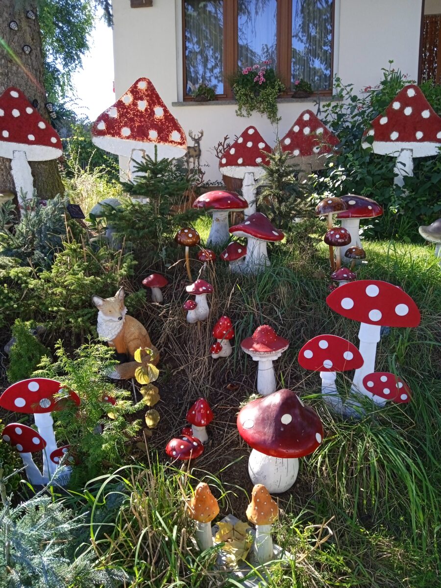 Fliegenpilz-Invasion verzaubert Garten in Floss