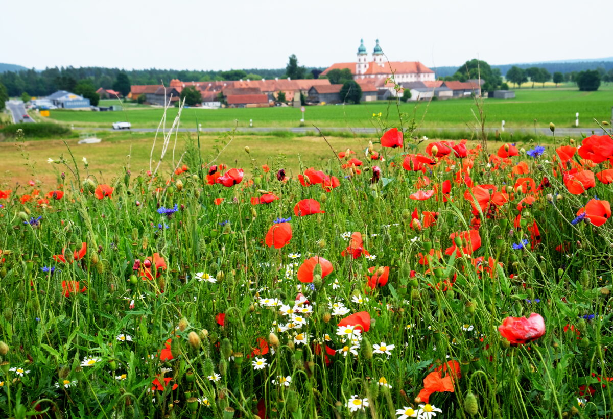 NEW Perspektiven: Pater Hermann Josef – von Gemeinschaft und Klosterleben in Speinshart