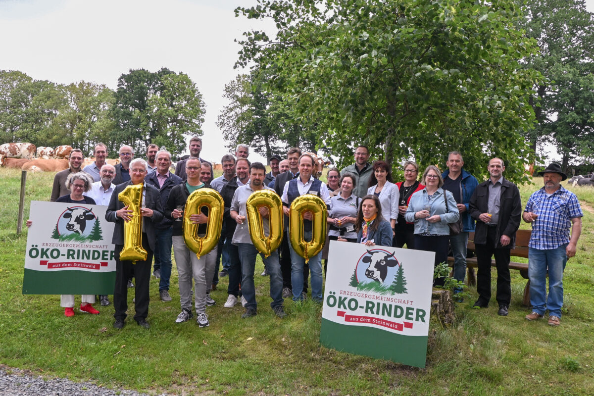 1000. Bio-Rind aus dem Steinwald - Erzeugergemeinschaft feiert Meilenstein