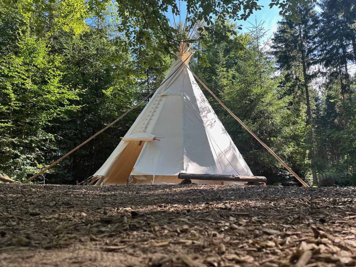 Das neue Tippizelt im Herzen des Waldes