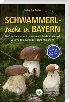 Schwammerl-Suche