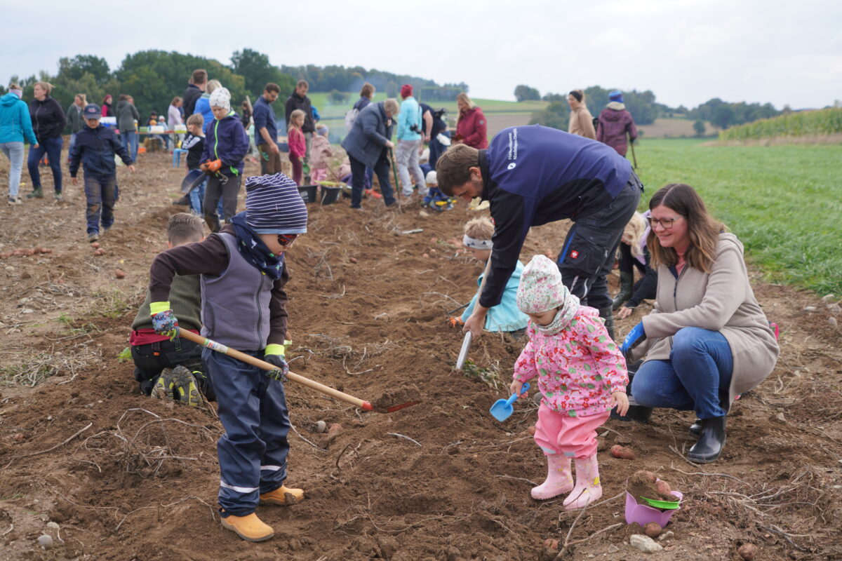 Erdäpfl, Lagerfeuer, Regenwürmer und leckere Brote am Stefflbauernfeld