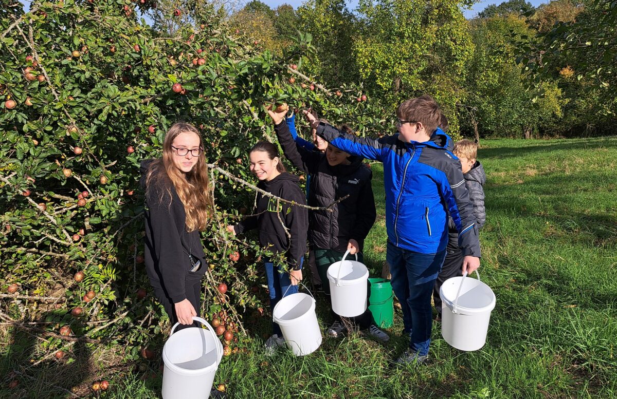 Apfelsammlung in Teublitz am 4. Oktober 2025