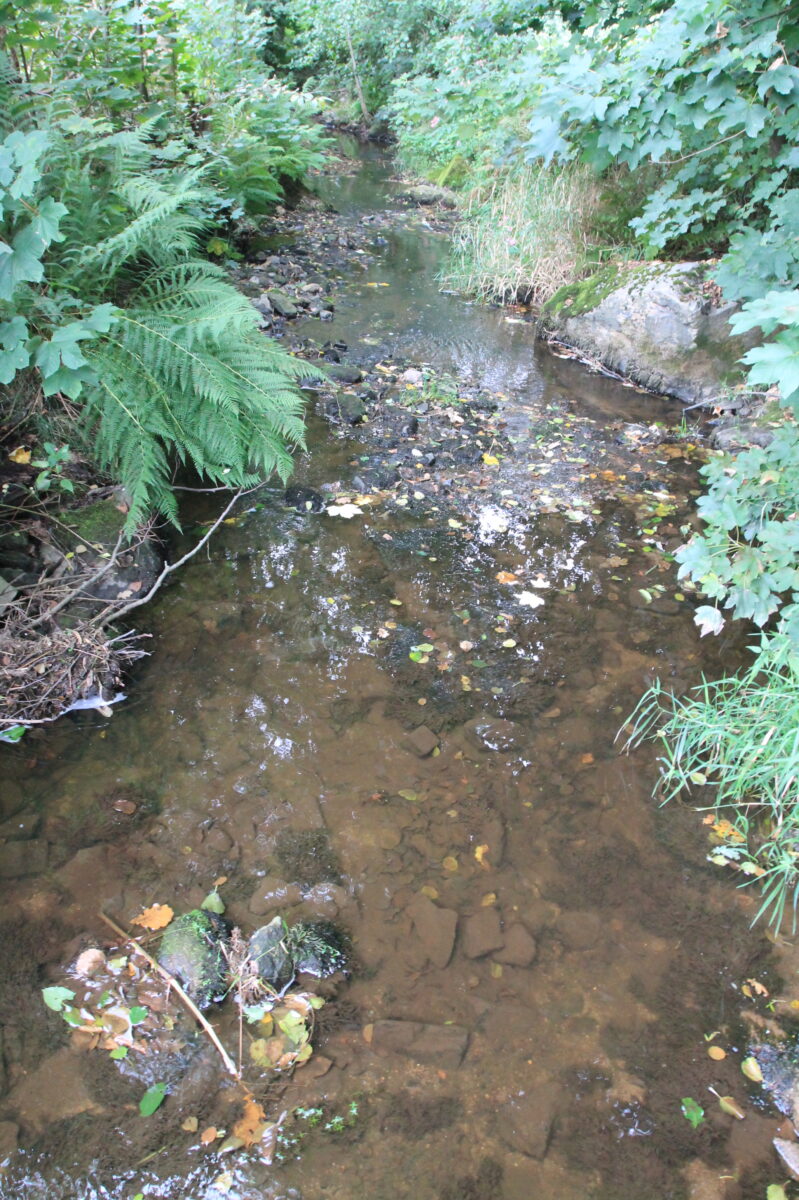 Ausschuss berät ökologische Verbesserung des Floßbachs in Floß