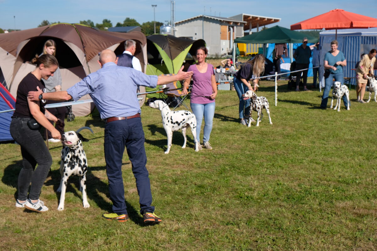 Rekordverdächtige „Modelschau“ mit Zuchtprüfungen in Tremmersdorf