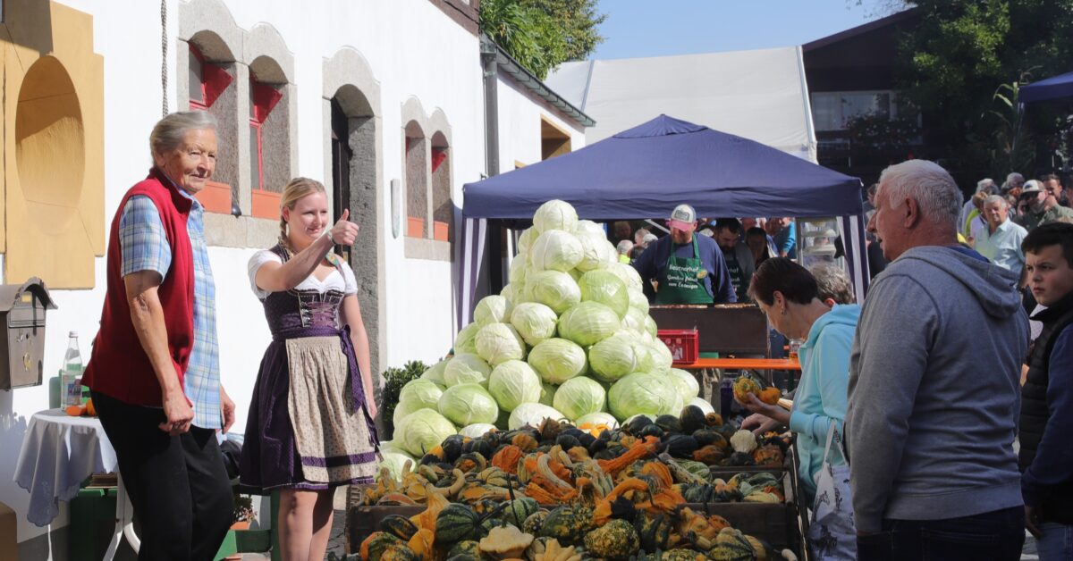Topqualität und Auswahl bei den bunten Kürbissen Weißkraut ist ein Basisprodukt aus dem Hofverkauf IMG_4862 - Kopie.JPG
