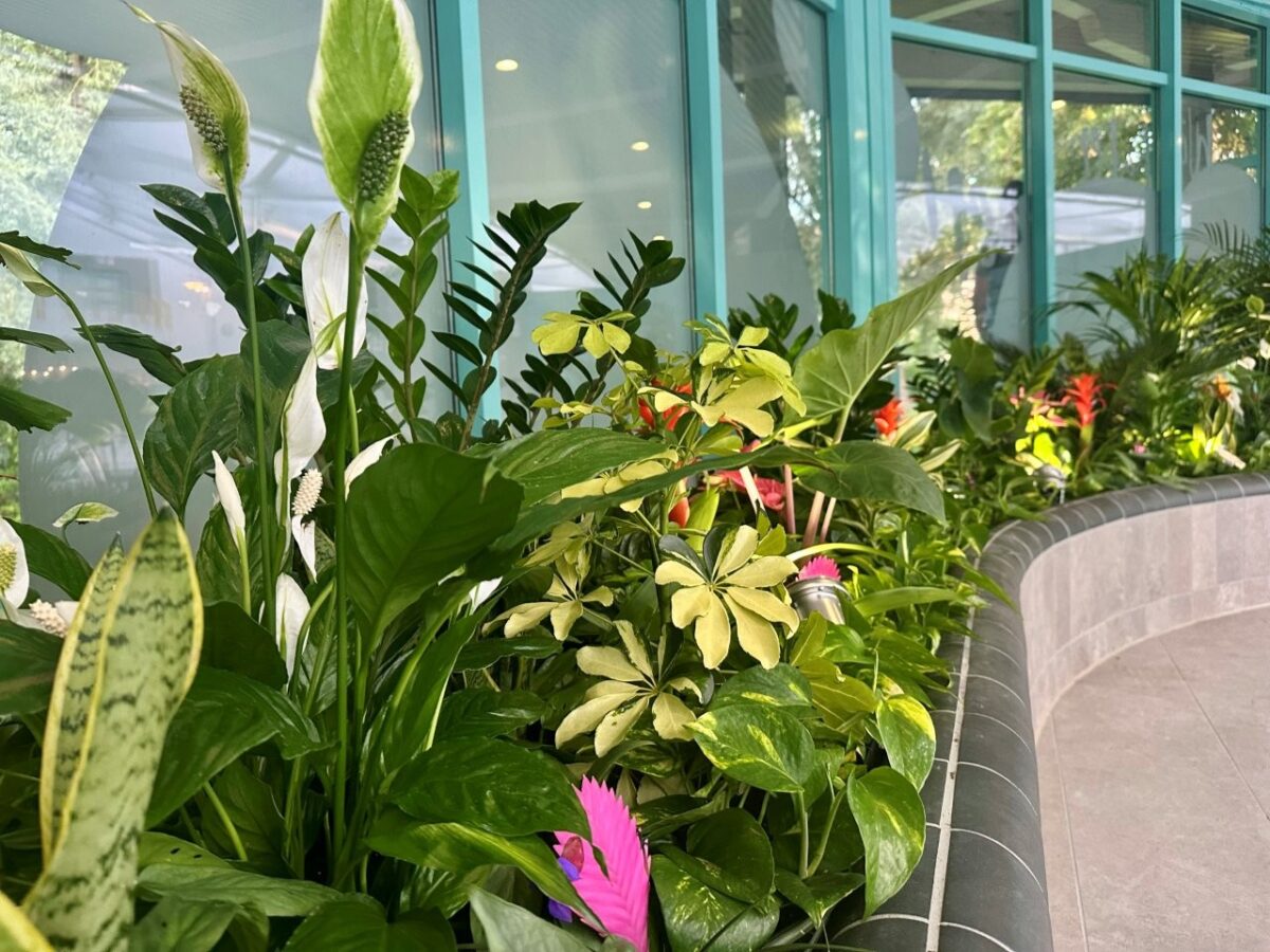 Kurfürstenbad Amberg öffnet noch 2025