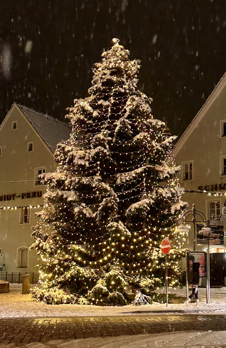 Es ist nie zu früh: Schwandorf sucht Christbaum für den Marktplatz