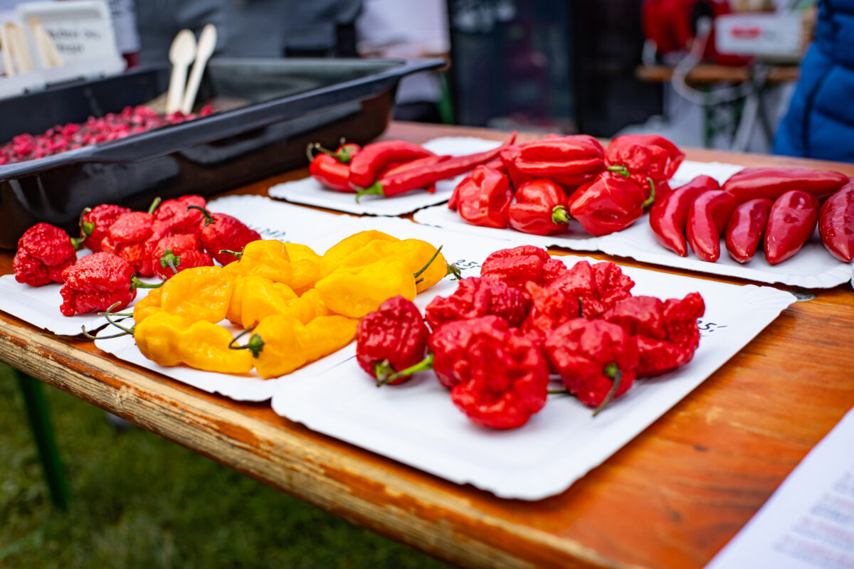 Street Food Festival Tachov bringt Bayern, Böhmen und Mähren kulinarisch zusammen