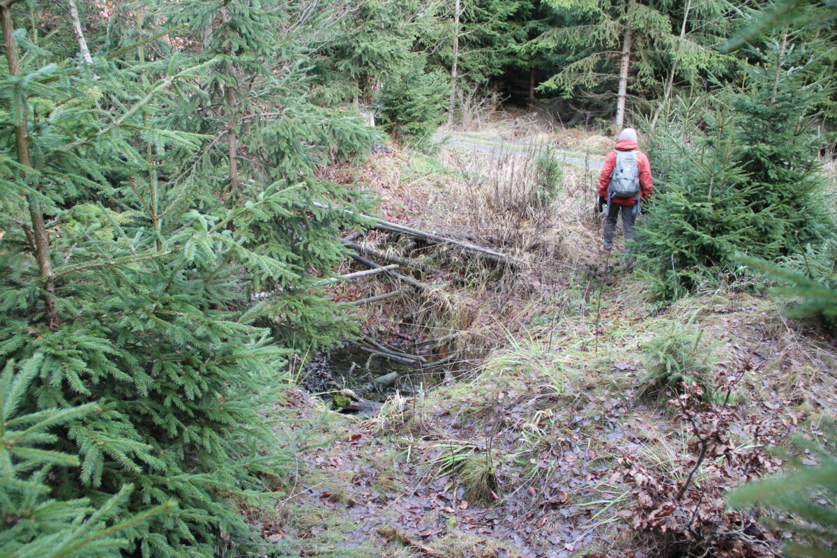 Dem geplanten Windpark bei Fuchsmühl drohen "Gefahren aus der Tiefe"