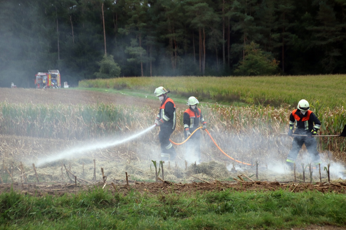 Feuerwehrkräfte trainieren den Ernstfall eines Waldbrands – Großübung in Auerbach [mit Video]
