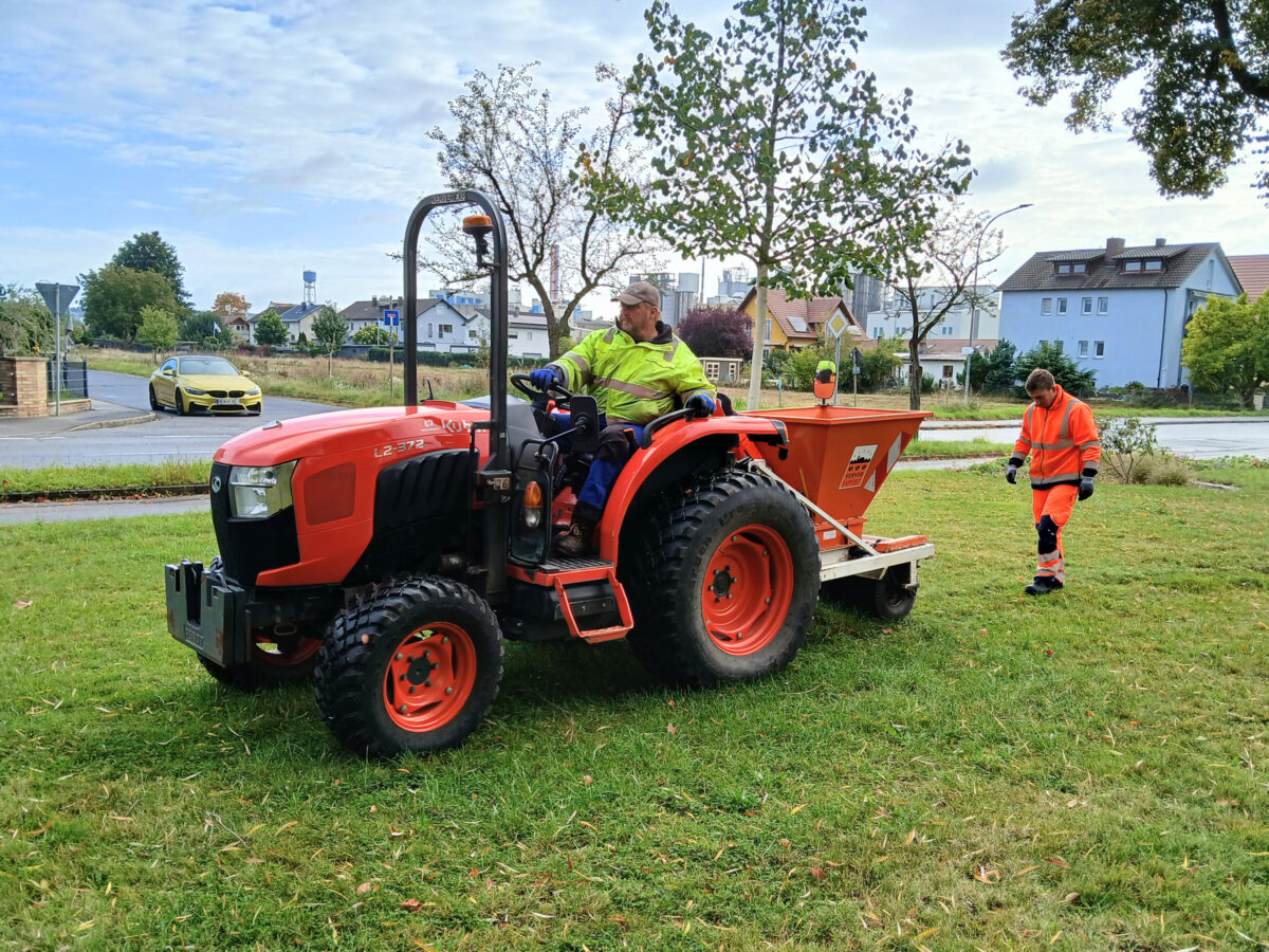 Pflanzaktion bringt Schwandorf über 50.000 Blumenzwiebeln