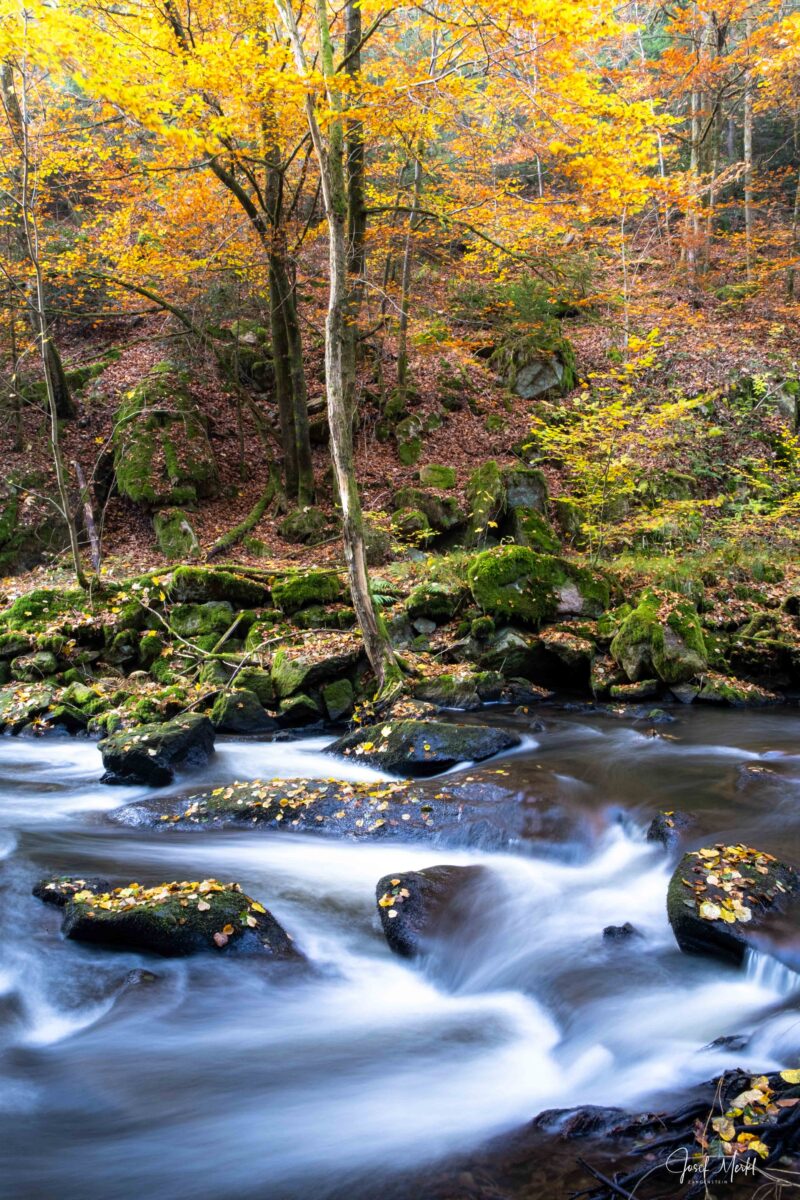 Fotograf Josef Merkl lädt ein: 3x Diashow über Weiher, Seen, Flüsse und Bäche