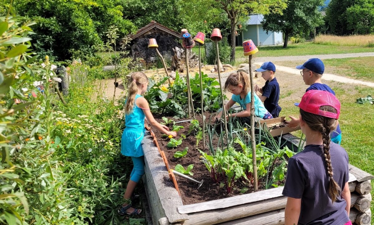 Gartenkrähen und Bahnhofskrähen: Beispielhafte Kinder- und Jugendförderung in Floß