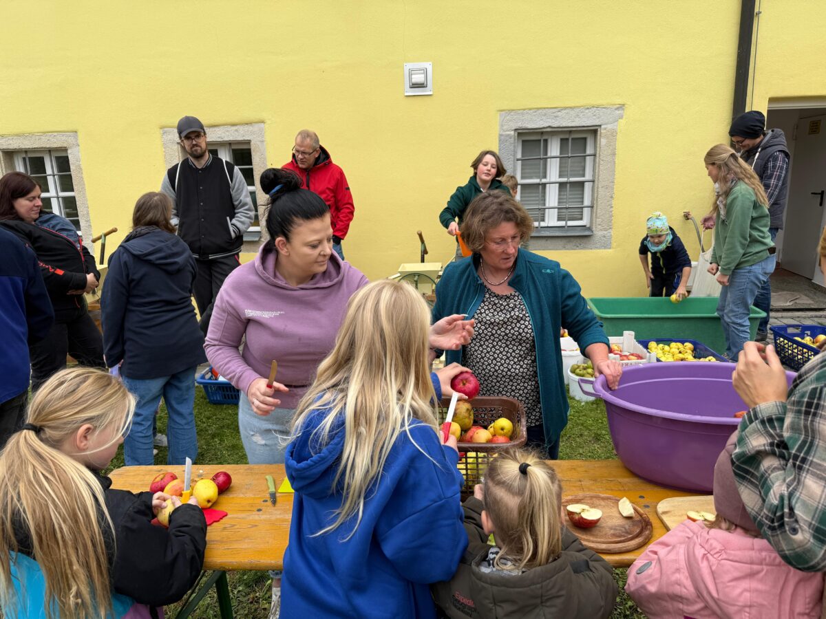 Vom Baum in die Flasche: Apfelpressen beim Obst- und Gartenbauverein „Pfreimdtal“