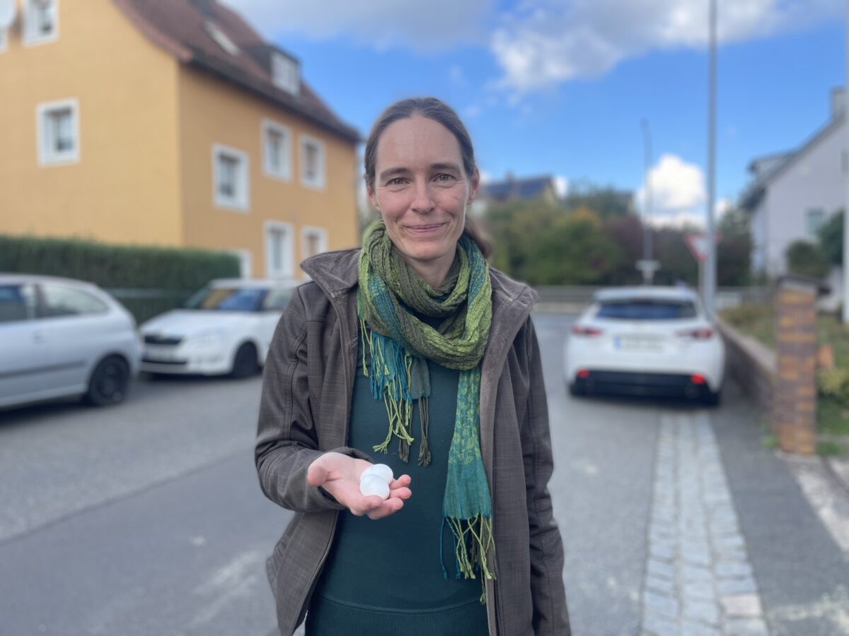 Auf den Dächern von Weiden: Hunderte Tauben brüten unter  Photovoltaikanlagen