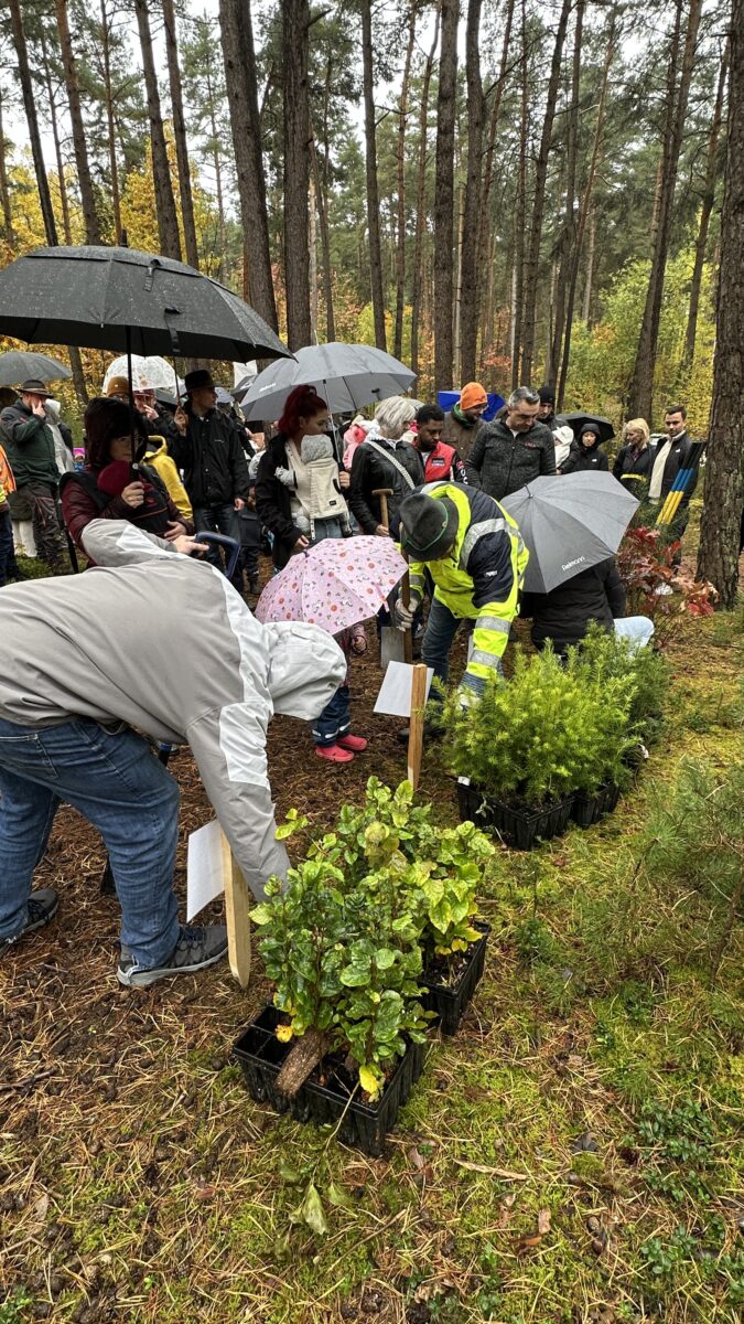 Jubiläum 20. Baumpflanzaktion für Neugeborene in Schwandorf
