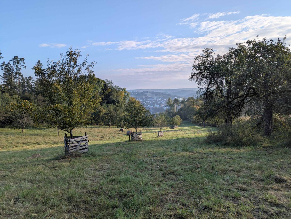 Kleine Forscher entdecken Streuobstwiese in Ensdorf - Anmeldung