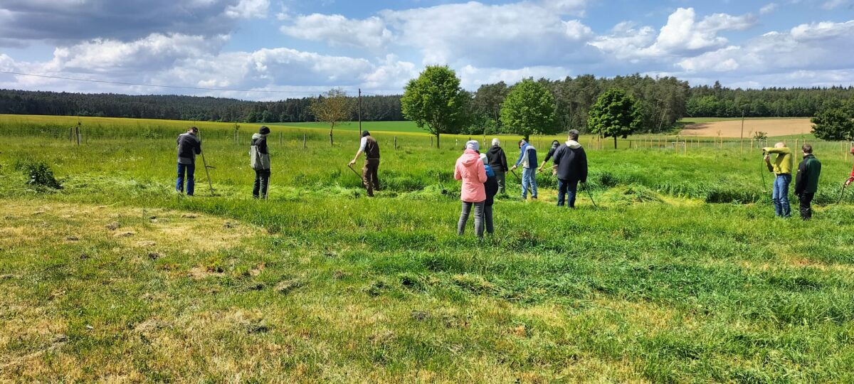 Kostenfreier Sensen- und Dengelkurs in Amberg