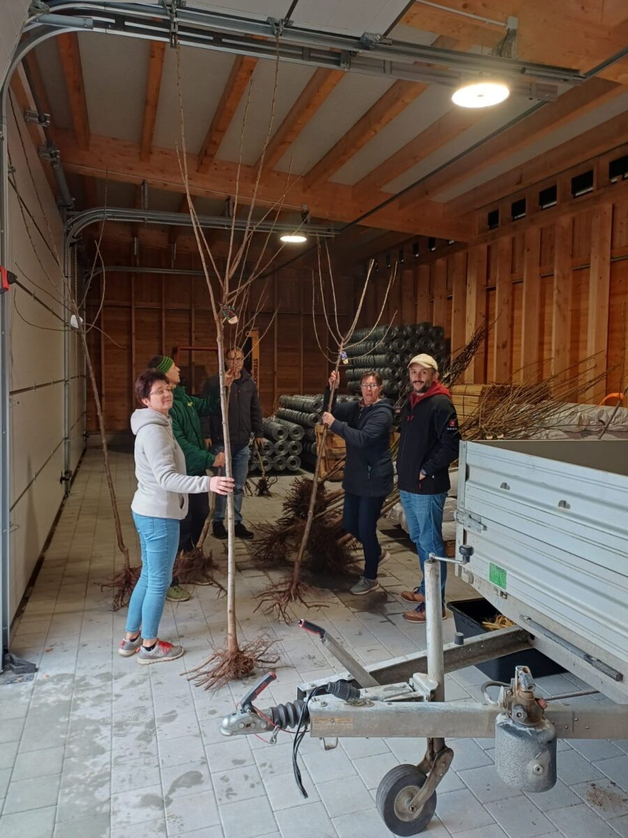 Streuobst-Aktion verteilt 39 Obstbäume in Vohenstrauß