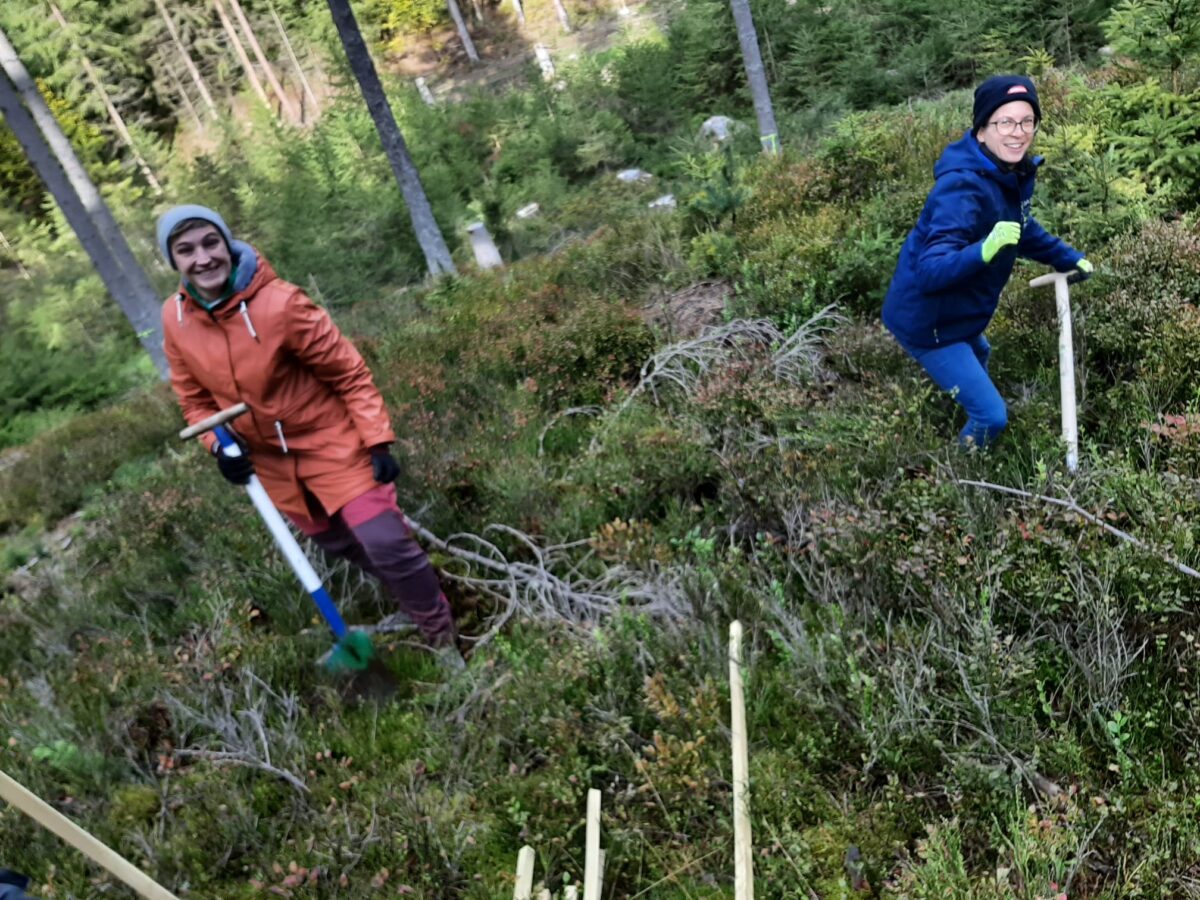 Waldfrauen gestalten den Zukunftswald in Bärnau