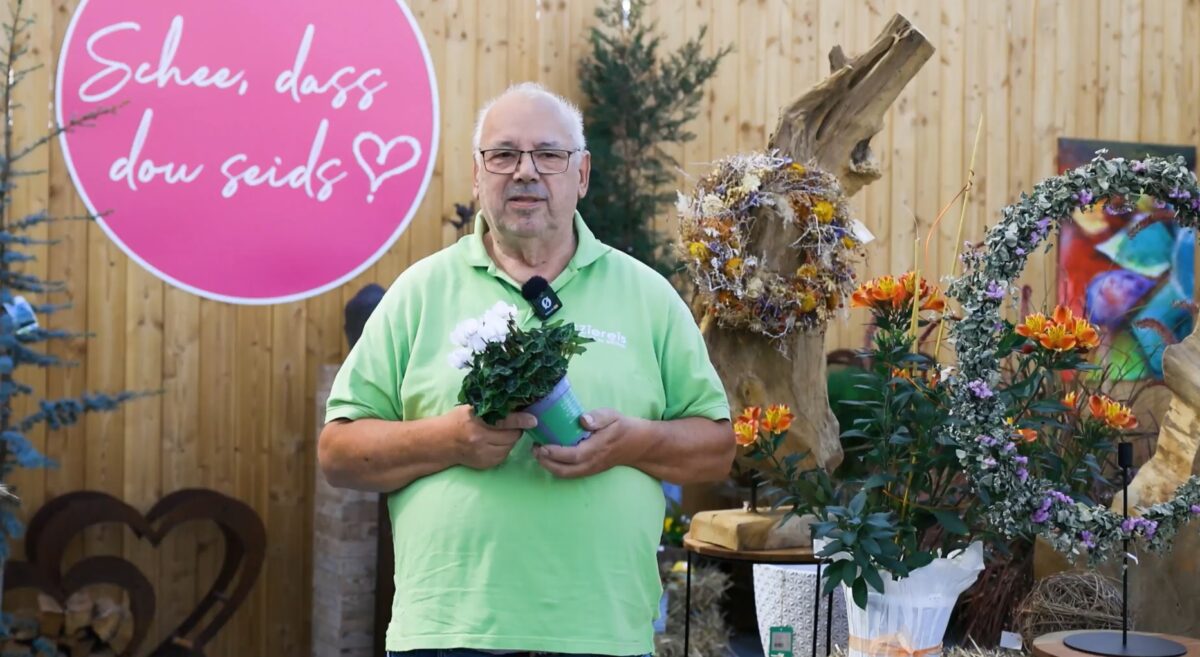 Gärtnerei Ziereis in Schwarzenfeld: Pflanzen, Café und Nachhaltigkeit in der Oberpfalz