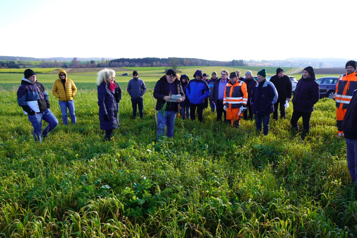 Zwischenfrucht - Drohnensaat und Direktsaatverfahren im Wasserschutzgebiet Waldthurn