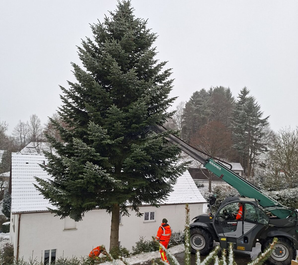 Bauhof stellt gespendeten Christbaum am Tillyplatz in Eslarn auf