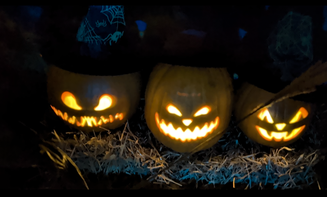 Besucherrekord im Hexenhaus Hocus Pocus in Krummennaab