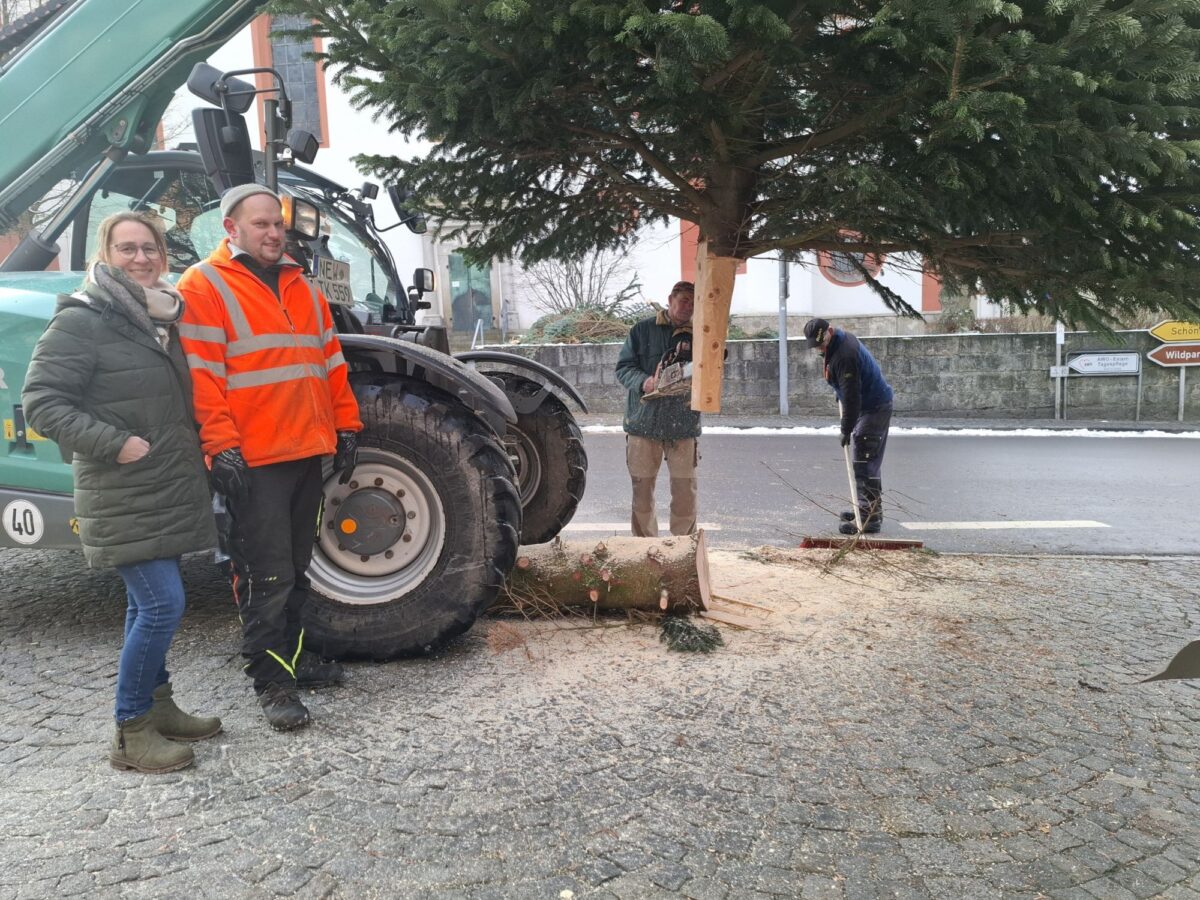 Christbaum kehrt in Eslarn an die Pfarrkirche zurück