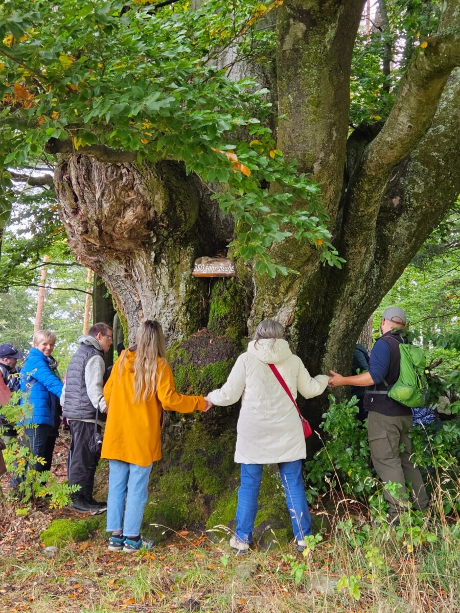 Kinder, Jugendliche und Erwachsene begeistert von der Erlebniswanderung rundum Friedenfels