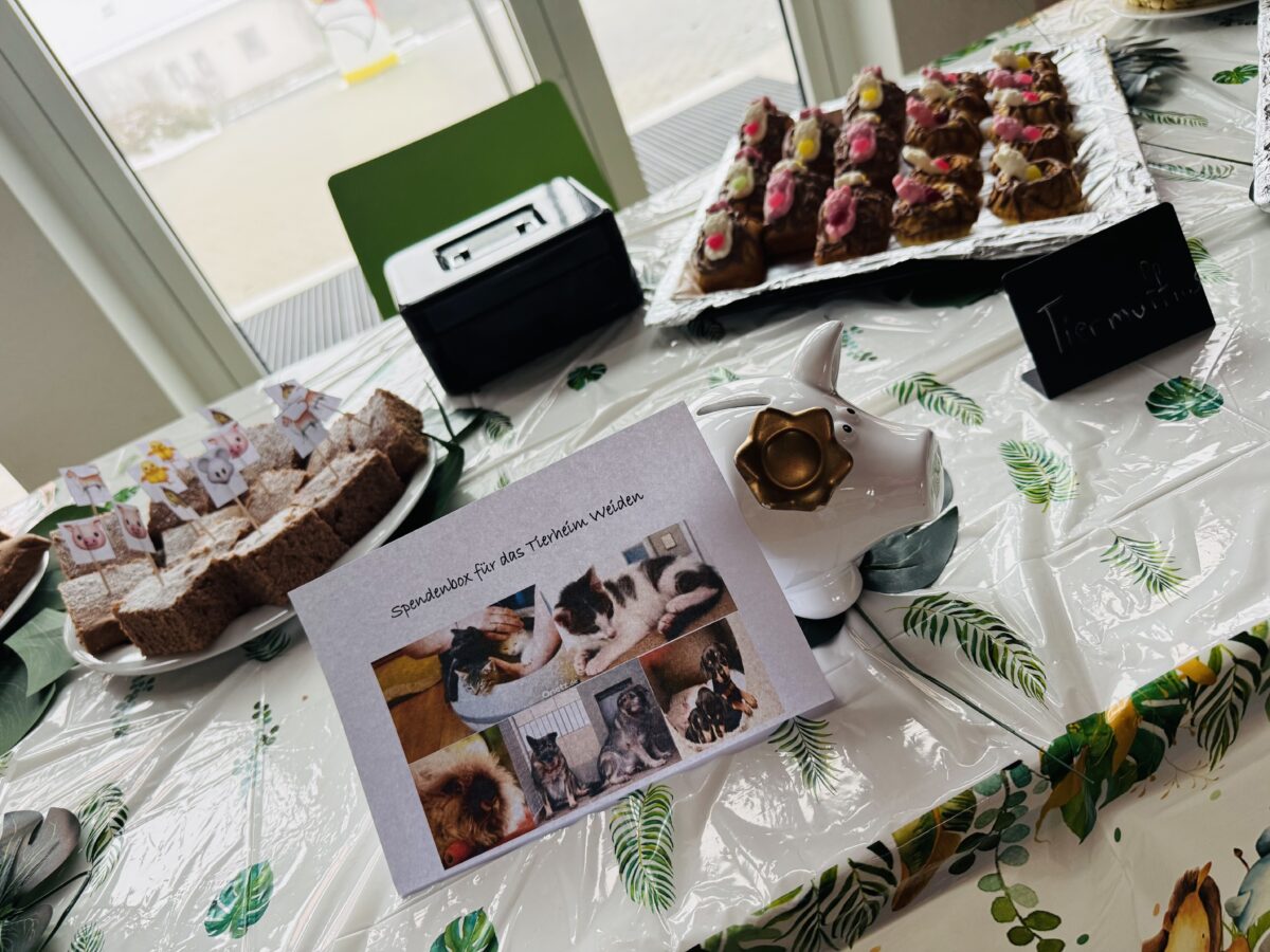 Pausenverkauf bringt Spenden für Tierheim Weiden in Eschenbach